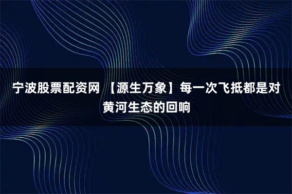 宁波股票配资网 【源生万象】每一次飞抵都是对黄河生态的回响